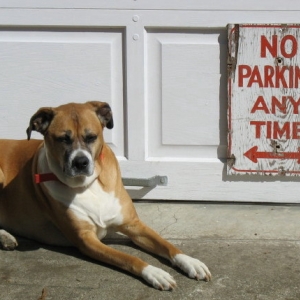 Jazzy Suntanning by the shop door