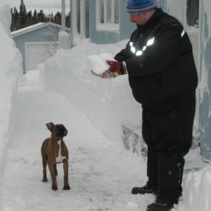 Snowball fun
