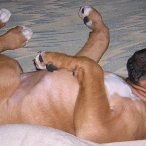 Back Napping