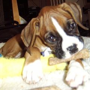 Droopy