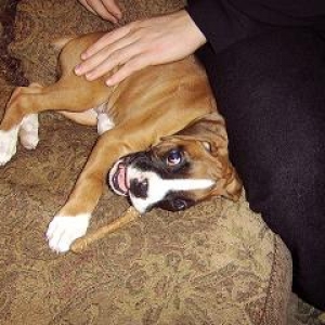 Droopy