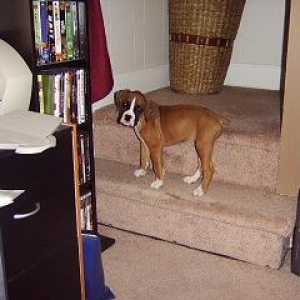 Droopy