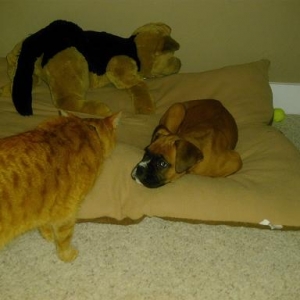 New Bed!