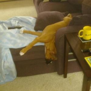 So sleepy!!