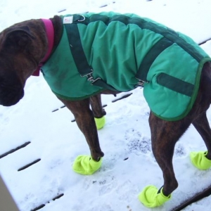 boots