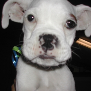 who can resist this little alien face?