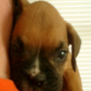 Moxie's first picture