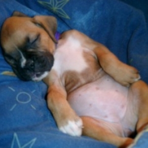 Sleeping baby!