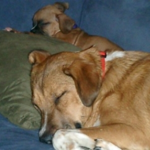 My two babies