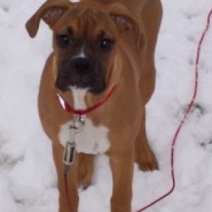 Playing in snow