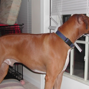 just watching