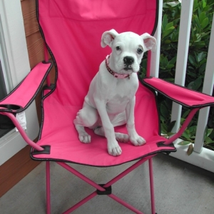 princess sitting in her throne