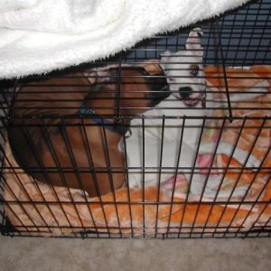 we're comfortable playing in small spaces!