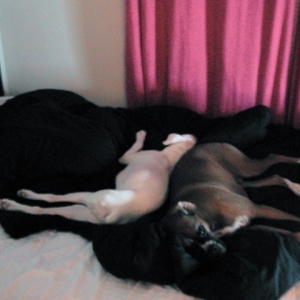 still passed out after playtime