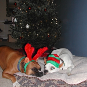 happy holidays 2006
