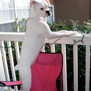 i'm a tall girl!