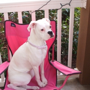 pretty pretty princess!