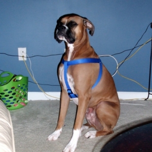 must not get caught blinking--oops!