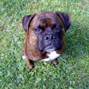 What a Face!