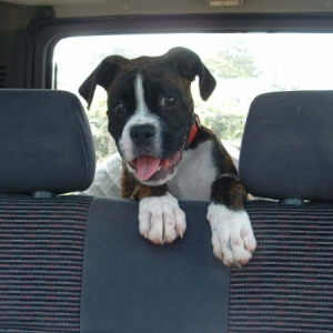 Eric in the car