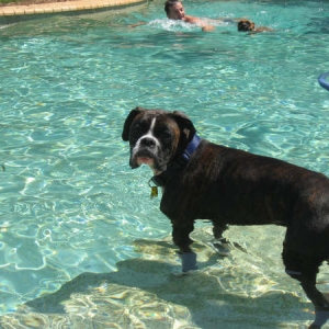 Eric all grown up - but does he want to swim?