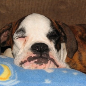 Winnie - too tired to play 5mths old.