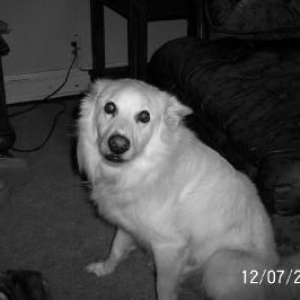 Sammie