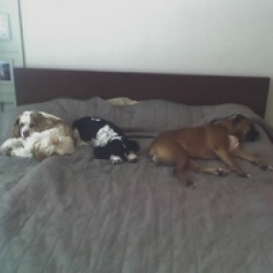 where do we sleep, you ask? :)