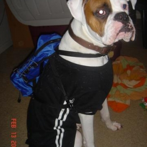 Poebackpack