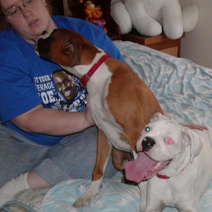 The rescued pups