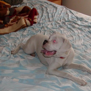 Angel....soon to be Molly or Lucy!