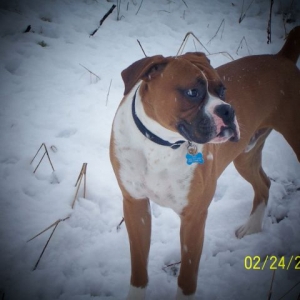 Sweet Zeus in the snow