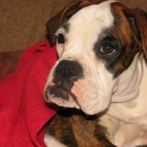 Winnie - 24 weeks with her blankie.