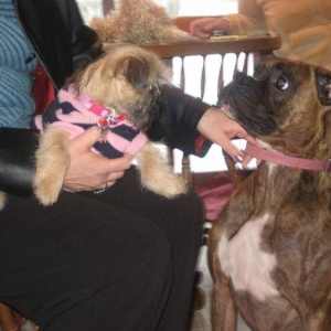 Bella meeting her new cousin Molly