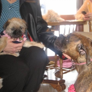 bella and molly
