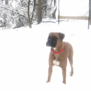 Snow...finally!