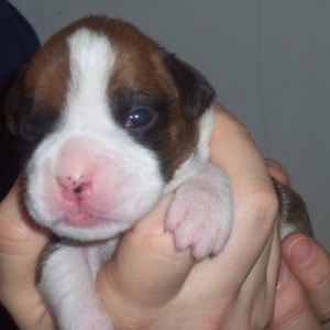 15 days old!