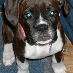 Jorja - 13 weeks