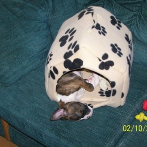 beauty_sleep