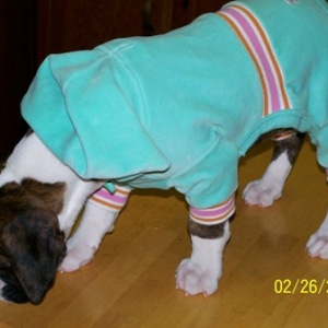 snug_fit