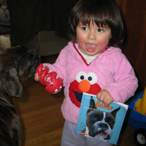 puppy training