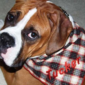 Check out my Bandana