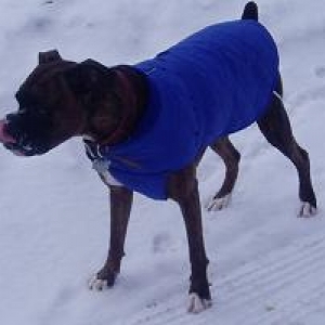 Foreman and his new winter coat