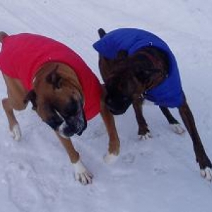 Boys and Their New Coats