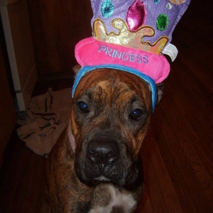 HappyBirthday