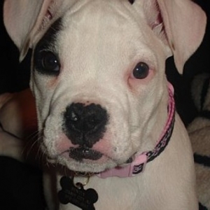 Bently!