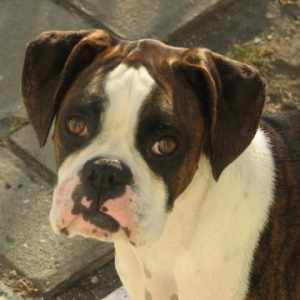 Logan's handsome face