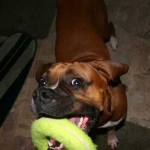 I love my toy!
