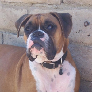 My Sweet Samantha - 20 Month's Old