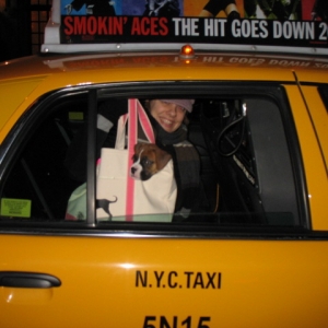 First Cab Ride
